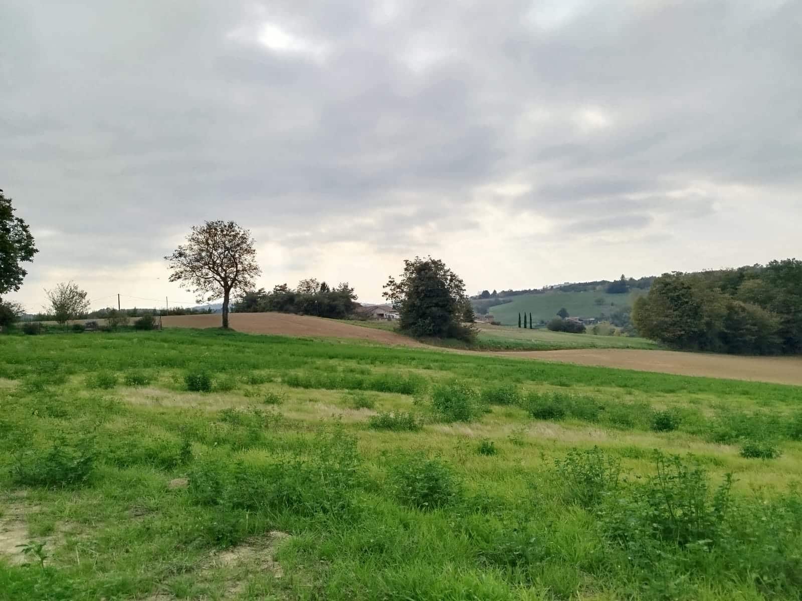 PHOTO-2025-10-17-07-43-19M