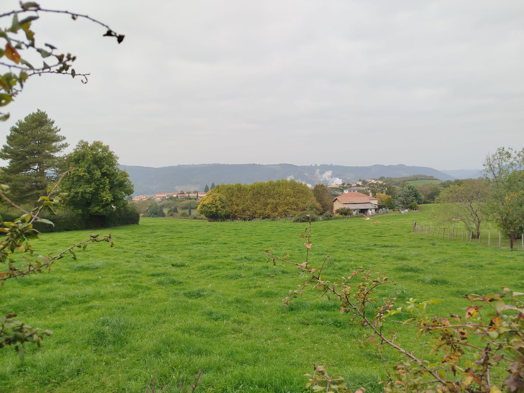 PHOTO-2025-10-17-14-30-02T